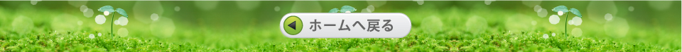 ホームへ戻る